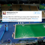 People are blaming the Irish for the Olympic pool mysteriously turning green