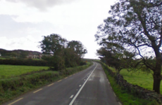 Man in his 50s dies after his minibus leaves the road