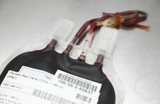 'They openly debated what sort of sex I had': What it was like being at the centre of the blood-ban case