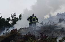 Firefighters battling woodland fires in Dublin