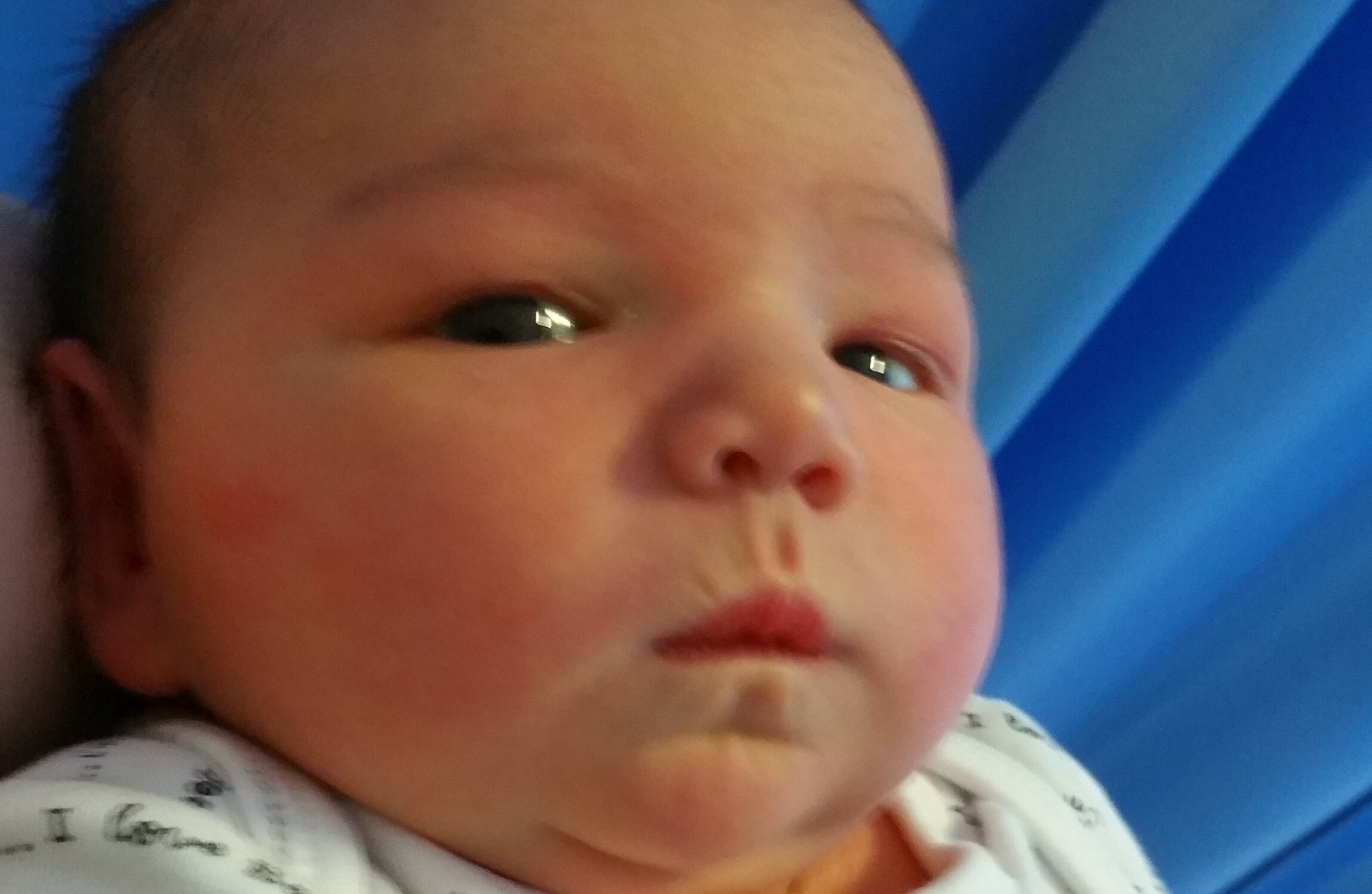 12 week old with cold