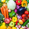New bill in Italy aims to jail parents who impose vegan diet on children