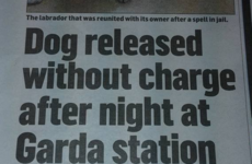 It's all kicking off in Wicklow, if this headline is to be believed