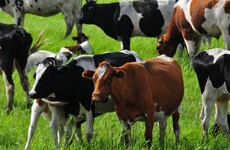 Former Ireland's Fittest Family winners ordered to hand over Cork farm