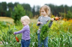 Poll: Should parents who impose a vegan diet on their children be sanctioned?