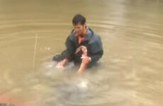 Dramatic footage shows woman and dog being pulled from a sinking car in Louisiana floods