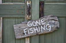 Open thread: What would you spend your life doing if there was no reason not to?