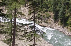 Child and parents die in river rapids after girl falls in while taking a selfie