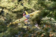 A German pilot was stuck up a tree all night after a crash-landing