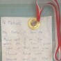 A five-year-old from Dublin has offered his school medal to Michael Conlan
