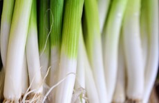 Add some flavour to your life: How to grow spring onions