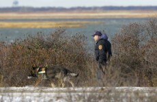 Long Island police believe one serial killer responsible for 10 deaths