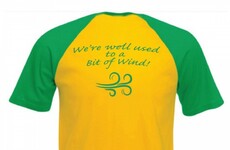 The O'Donovan Brothers' rowing club is now selling these excellent t-shirts