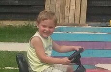 Three-year-old boy dies after being attacked by dog in Essex