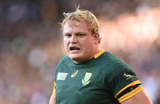 Last-gasp Whiteley try gives Boks victory in thriller against Pumas