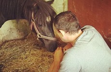 This horse rescue home in Dublin has the most delightful Facebook page in Ireland