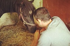 This horse rescue home in Dublin has the most delightful Facebook page in Ireland