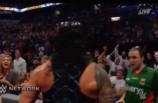 A fan was spotted in a Mayo GAA jersey losing it at WWE Summerslam last night
