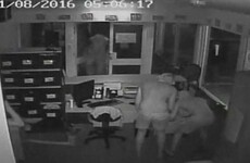 Crocodiles let loose by vandals in Australian school