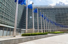 Woman shot by police after stabbing three people on a bus in Brussels