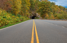 QUIZ: Can We Guess What Kind of Car You Drive?