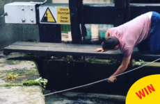 This hero came to the rescue when he noticed some baby ducks trapped in the Grand Canal