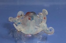 This tiny robot octopus is powered by its own gas