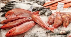 What it takes to become Ireland's best young fishmonger...