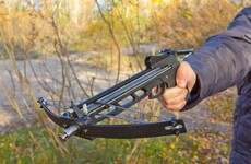 Three killed in apparent crossbow attack in Toronto