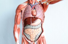 Poll: Would you donate your body to medical science?