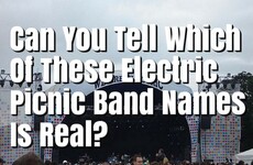 Can You Tell Which of These Electric Picnic Band Names Is Real?