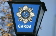Gardaí renew appeal for witnesses to Dublin hit-and-run