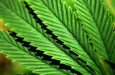 Man arrested over €250,000 drugs find