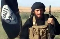 Islamic State spokesman 'killed in Aleppo'