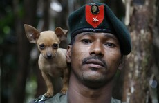 Fifty years of conflict in Colombia summed up in five key points