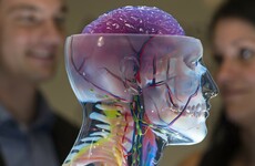 3D-printed bone breakthrough made by Dublin researchers