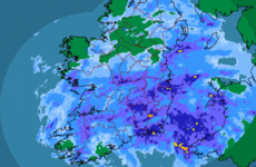 They're getting absolutely lashed out of it down at Electric Picnic