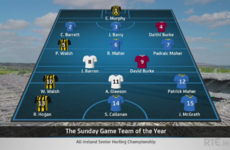 The Sunday Game experts have named their 2016 Hurling Team of the Year