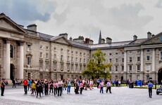 'The Cinderella sector' of Irish education needs extra funding just as badly as our top universities