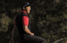 In the swing: Tiger proves that he never forgot how to get the job done