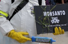 €58 billion deal to buy controversial Monsanto corporation called a "marriage made in hell"