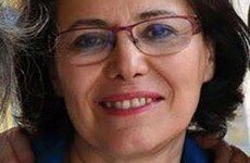 Minister called to intervene in case of Irish citizen detained in Iran
