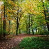 The Perfect Autumn Driving Playlist