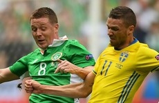 Everton's James McCarthy and Darron Gibson doubtful for Ireland's upcoming qualifiers