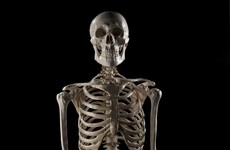 2,000-year-old human skeleton found in shipwreck