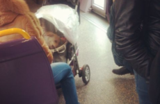 15 things that could only happen on Irish public transport