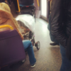 15 things that could only happen on Irish public transport