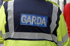 Gardaí find suspected human bone on riverbank