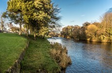 Man appeals for contact with woman who saved wife and baby from drowning in the Liffey