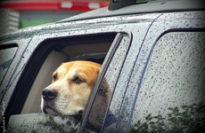 The Ultimate Rainy Day Driving Playlist
